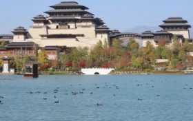 連續(xù)三年在興漢勝境漢源湖過(guò)冬的“野鴨”們又飛來(lái)了！！縮略圖