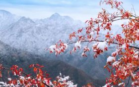 陜西多個景區(qū)實行淡季政策 進行門票價格或時間調(diào)整縮略圖