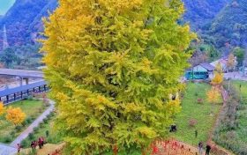 國(guó)家級(jí)精品項(xiàng)目！漢中1條線路入選→縮略圖