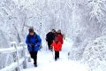 隨著冷空氣的抵達，陜西迎來一份雨雪、降溫、吹風天氣過程縮略圖