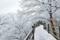 龍頭山今日又下雪啦，每一幀都是“限定浪漫”！縮略圖