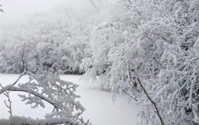 局地積雪可達10cm！冰雪路面如何安全行車？縮略圖