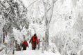 今日陜西全省陰天間多云 28日起將迎來(lái)新一輪雨雪天氣縮略圖