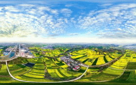 暢游花海 這些安全出行知識(shí)點(diǎn)必看→縮略圖