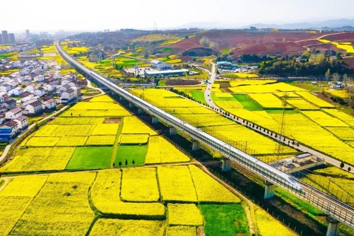 坐上高鐵去漢中，共赴一場(chǎng)浪漫之旅！插圖