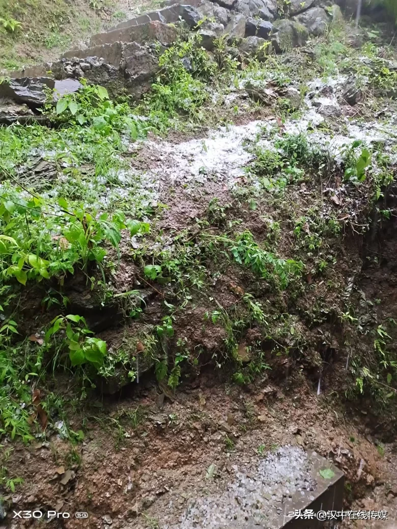 5月7日，漢中市寧強(qiáng)縣突降暴雨及冰雹部分區(qū)域莊稼受損嚴(yán)重插圖1