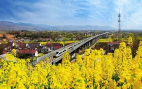 優(yōu)秀！漢中再獲國(guó)家級(jí)榮譽(yù)！縮略圖