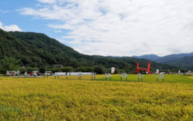 全省推介！漢中2路線入選→縮略圖