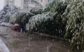 明顯降溫！陜西新一波雨雪即將到來縮略圖