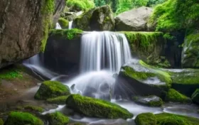 尋夢油菜花海，探秘漢江之源：三天兩晚奇遇之旅縮略圖