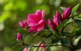 徒步漢江源：一場(chǎng)與自己的較量，一場(chǎng)青春的蛻變縮略圖