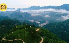 陜西漢中至四川廣元高速擴(kuò)容項(xiàng)目建設(shè)迎來(lái)新進(jìn)展 通車(chē)后將緩解川陜交通壓力縮略圖