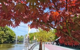 山風(fēng)為扇，清泉作枕！歡迎來(lái)到漢中這個(gè)避暑天堂縮略圖