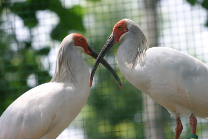 49b4497f904f728b72372b8603bc221a