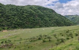 我市開通便民就醫(yī)直通車縮略圖