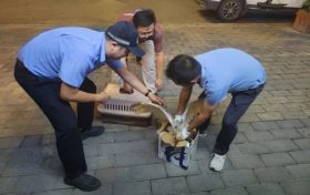 漢臺(tái)警民攜手救助一只國(guó)家一級(jí)保護(hù)動(dòng)物縮略圖