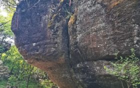 三伏將至，“8做8不做”請(qǐng)收好縮略圖