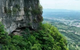 “鎮(zhèn)巴毛尖”商標(biāo)獲批 漢中市地標(biāo)再創(chuàng)新高縮略圖