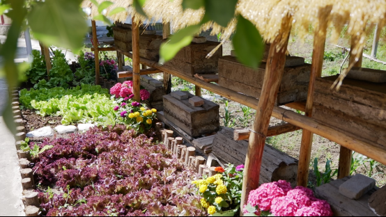 a5b7f32d55c20503cae9069db334eb9d