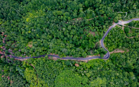 三伏天開啟！我要去草川子縮略圖