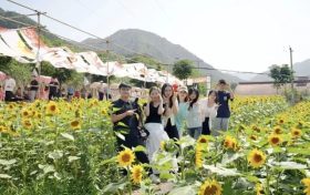 “鄉(xiāng)”聚力量·“創(chuàng)”新未來丨來留壩，給旅行加點(diǎn)“文化”料縮略圖