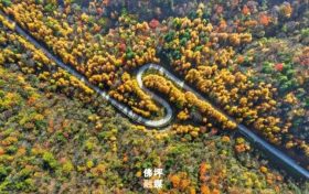 秋滿佛坪，風(fēng)光正好！踏入這抹絢爛秋色里，邂逅只屬于你的心動(dòng)時(shí)刻！縮略圖