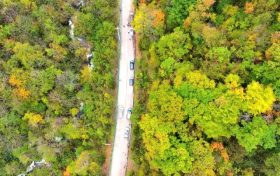 紅葉帶火鄉(xiāng)村游！留壩的秋 “賺”足了人氣縮略圖