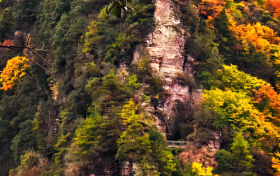 九月九，登九鼎！草川子的秋日盛宴已開席縮略圖