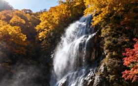 溫馨提示 | 漢江源景區(qū)云海索道檢修維護：10月29日-11月7日暫停使用縮略圖