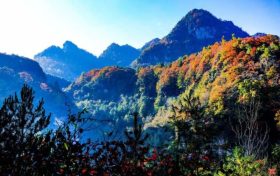 草川子生態(tài)康養(yǎng)旅游度假區(qū)今日恢復(fù)開園，正常接待游客縮略圖