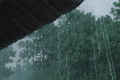 新一輪降雨，上線！縮略圖