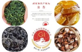 漢中新增多件國家地理標(biāo)志保護(hù)產(chǎn)品→縮略圖