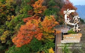 七彩草川子，夢(mèng)幻彩林季縮略圖