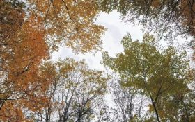 最低-9.7℃！陜西降溫、降雨！漢中→縮略圖