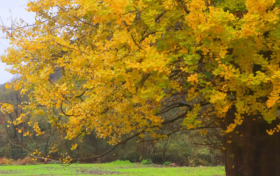 秋假學(xué)子免票游草川子，解鎖秋日里的彩林&石林，速速碼住！縮略圖