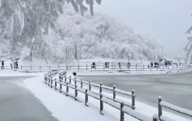 【冬季預告】等一場雪，赴漢江源的秦巴冬約縮略圖