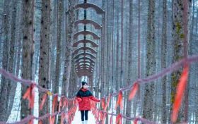 當紫柏山開始“留白”，一幅冰瀑為骨的冬日畫卷正在醞釀…縮略圖