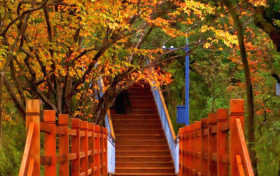 周末天氣如何？陜西最新天氣預(yù)報(bào)→縮略圖