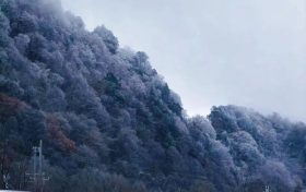 本輪寒潮將持續(xù)多久？何時(shí)能夠回暖？縮略圖